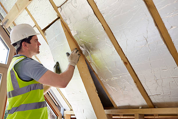 Best Attic Insulation Installation  in Prairie Du Chien, WI